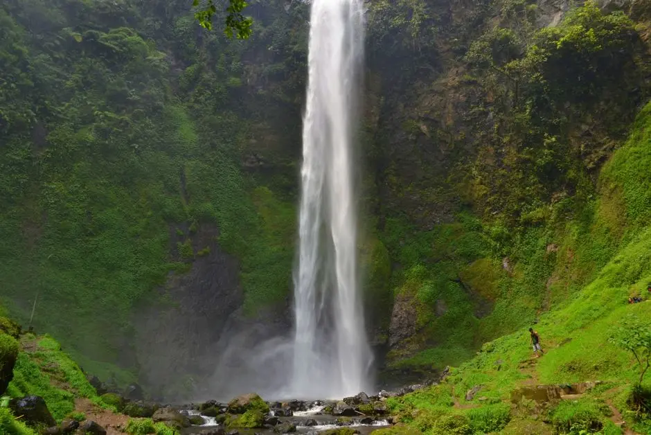 Pemandangan alam hijau destinasi wisata tersembunyi di Jawa Barat